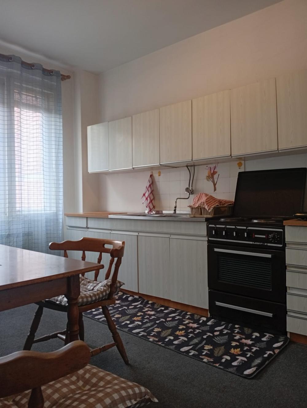 Slika 9 - Glavna ulica - Obrenovićeva, Dvoiposoban stan za izdavanje, 60m2, 300€